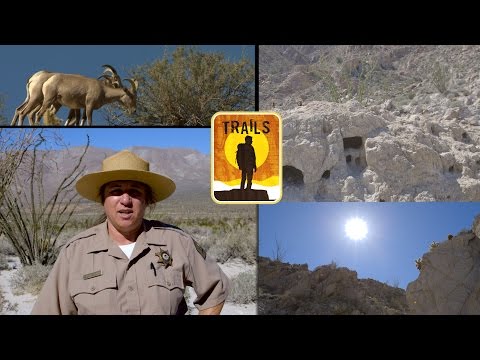 Take a Hike: Moonlight Canyon Trail