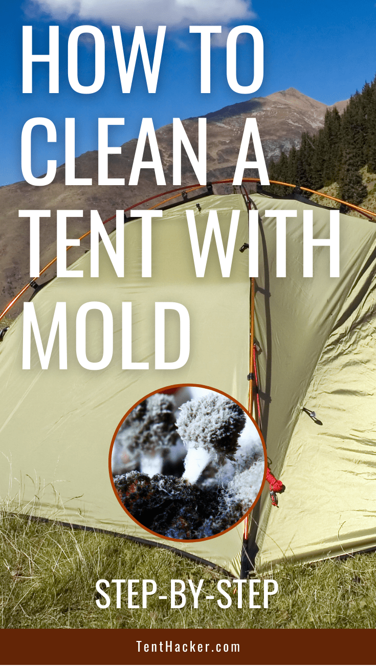 How To Clean A Tent With Mold StepByStep
