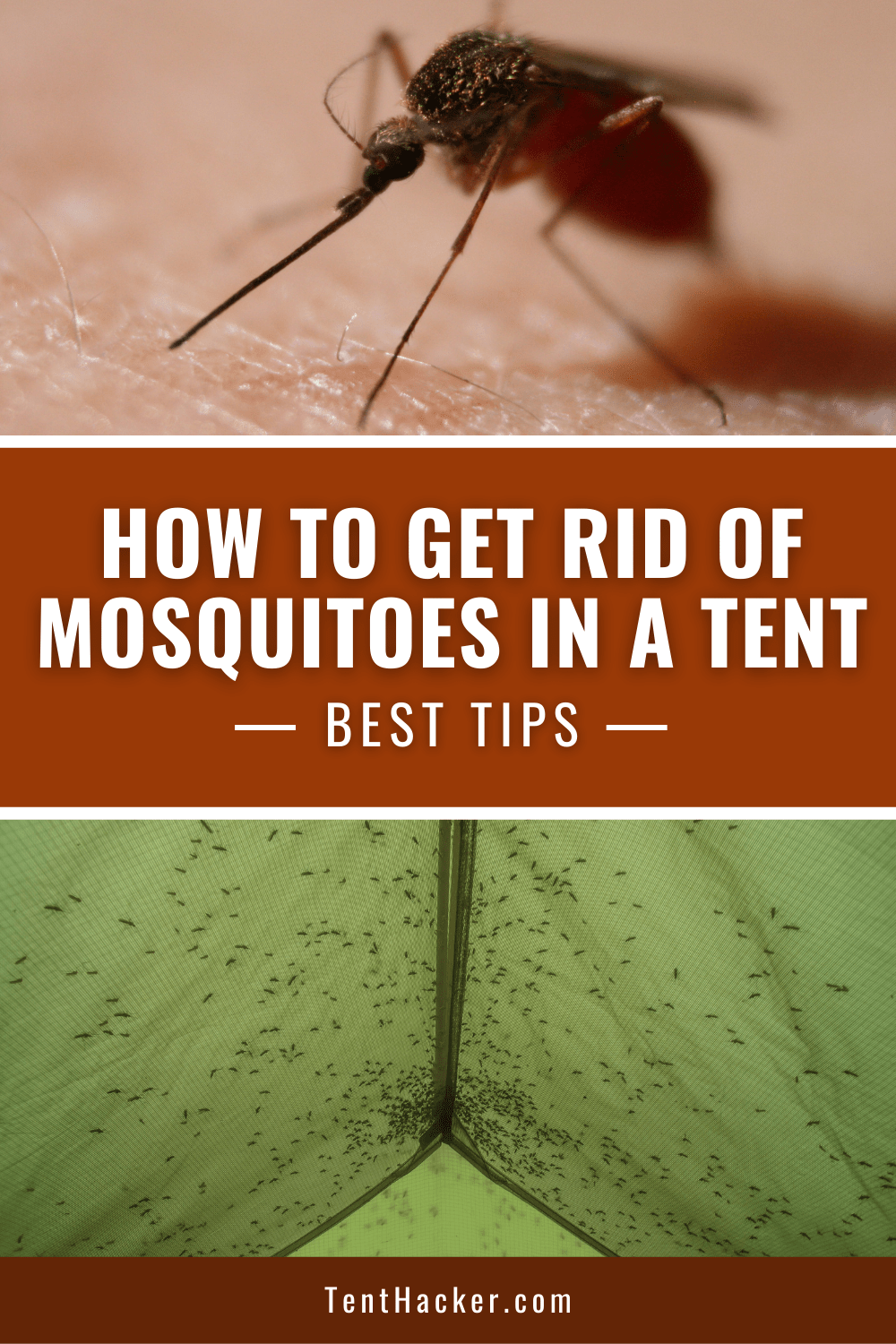 How to Get Rid Of Mosquitoes in a Tent (Best Tips)