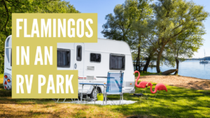 what do flamingos mean in an rv park