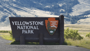 Yellowstone National Park