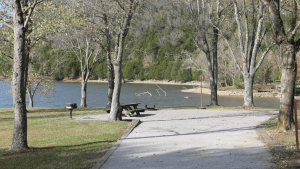 Featured Image: Site 12 - Defeated Creek Park via Recreation.gov