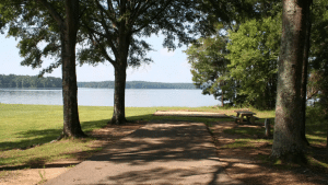 Holiday Campground Site 48 via Recreation.gov