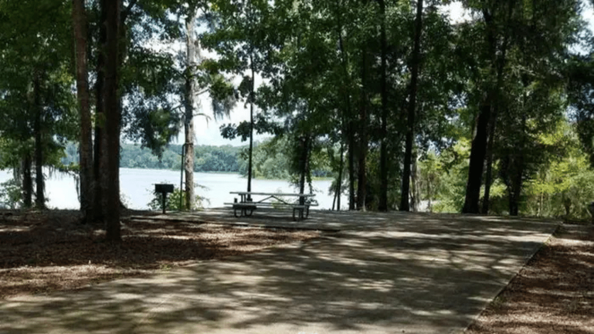 Site 12 – Chilatchee Creek Campground via Recreation.gov