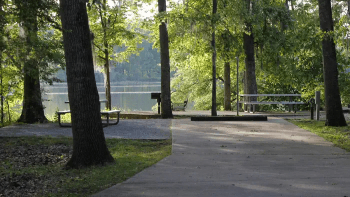 Site 41 – Prairie Creek Campground via Recreation.gov