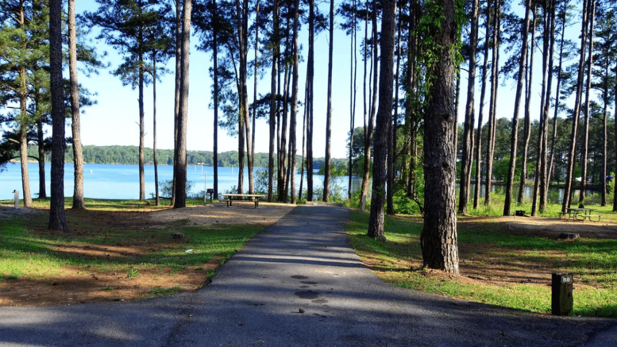 Photo Sweetwater Campground Site 88 via Recreation.gov