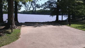 Site 82 - Blue Bluff Campground via Recreation.gov