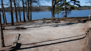 Site 77 - Twin Lakes Recreation Area via Recreation.gov