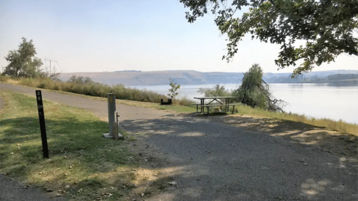 Site 25 - Fishhook Park