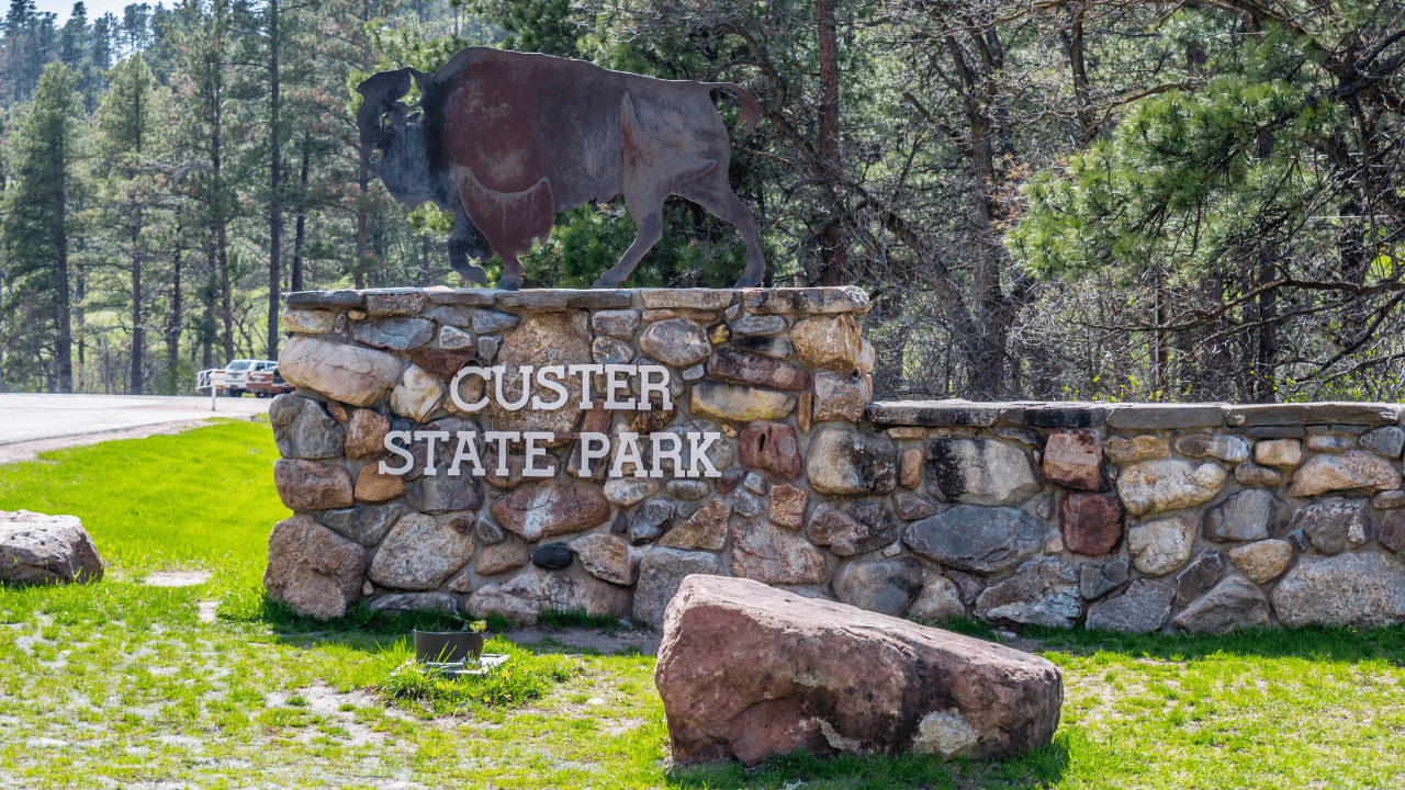 An entrance road going to Custer State Park, South Dakota