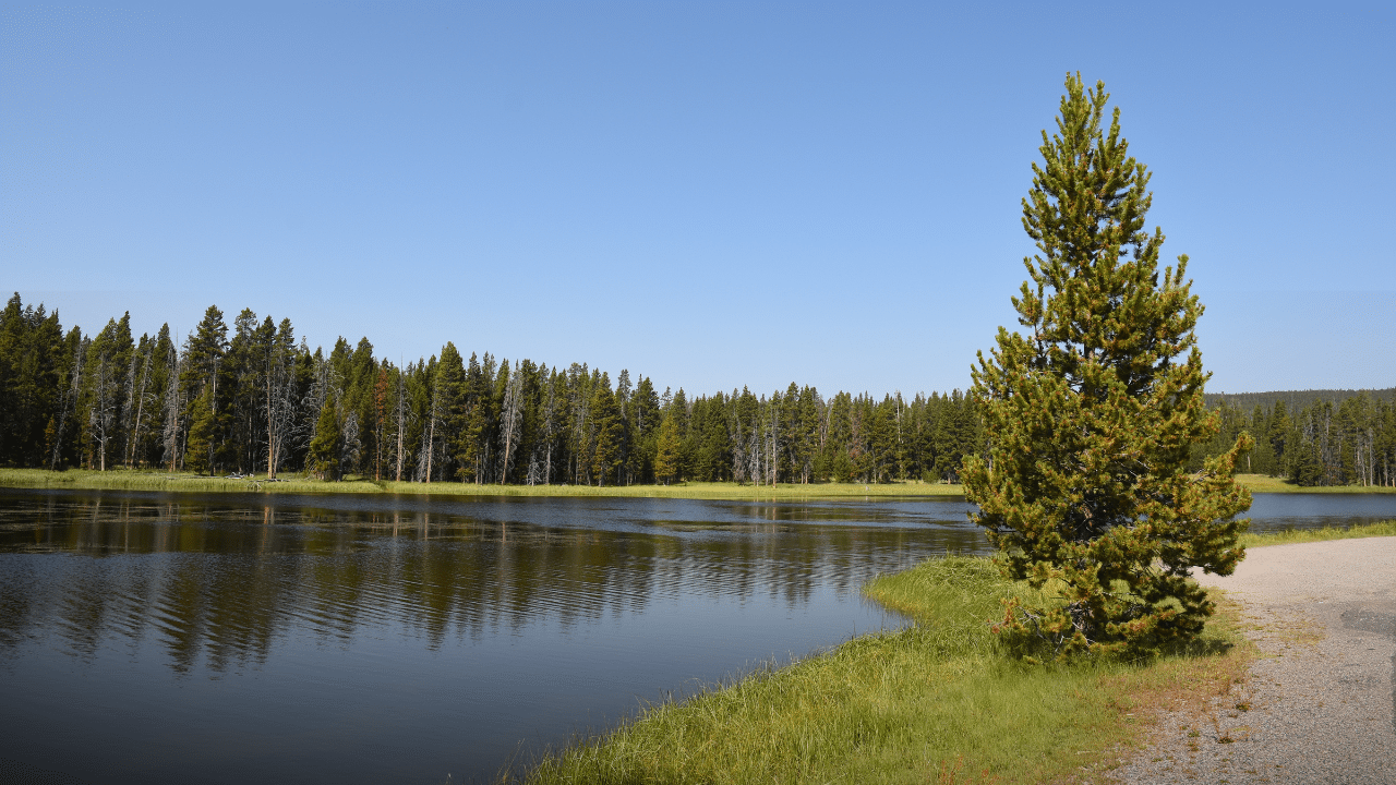 Yellowstone Lake in Yellowstone National Park