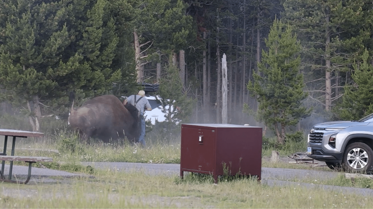 Screenshot of video licensed through Newsflare Limited. Footage by @studioMacleod.