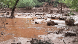 Bright Angel Creek flood