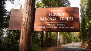 Sequoia National Forest Entrance Sign