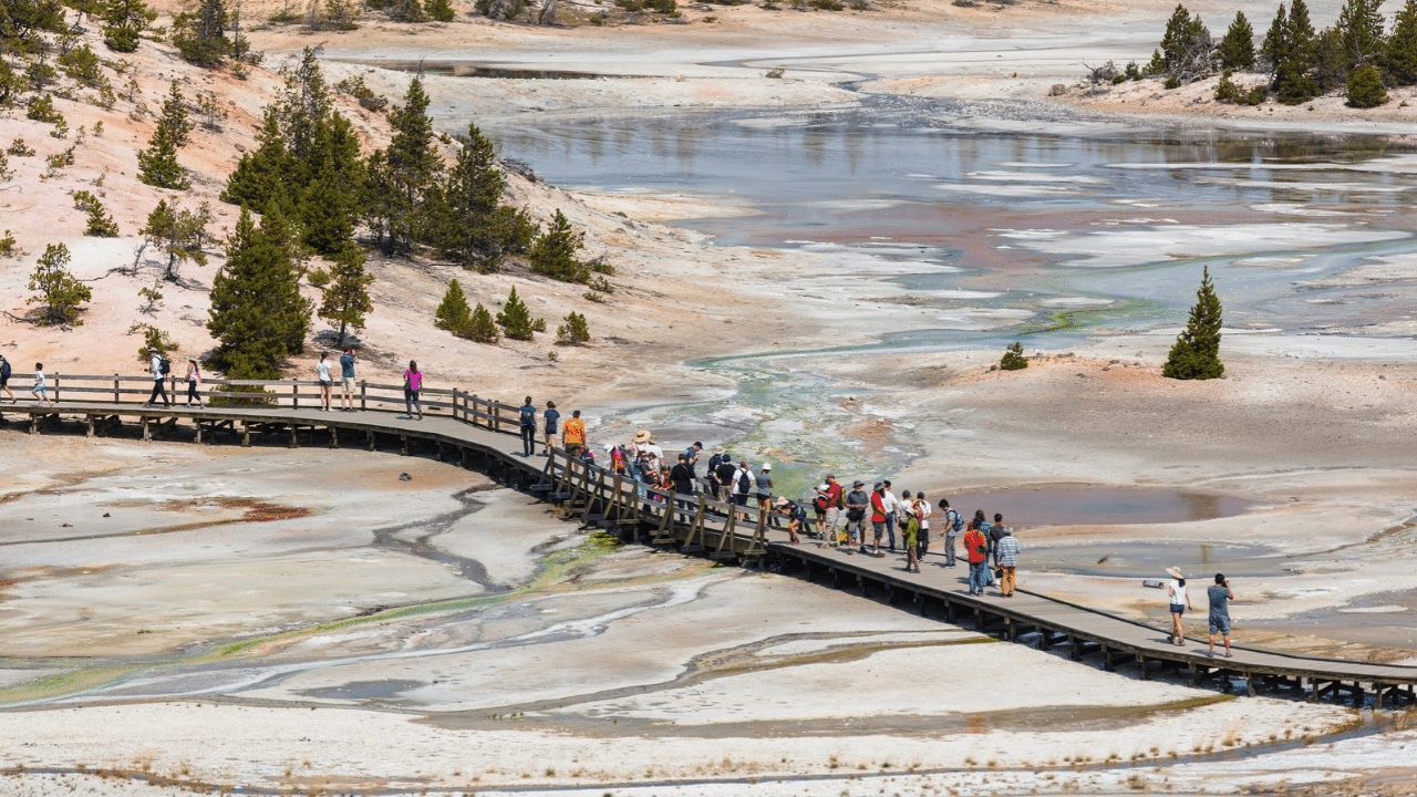 Visitors at Yellowstone’s Norris Geyser Basin, where a new visitor facility is planned with support from the donation.