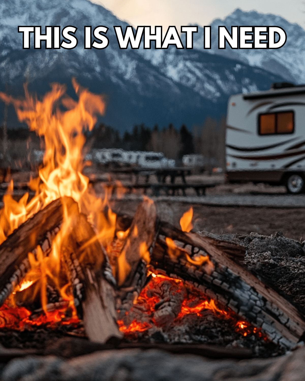 this is what i need camping meme community