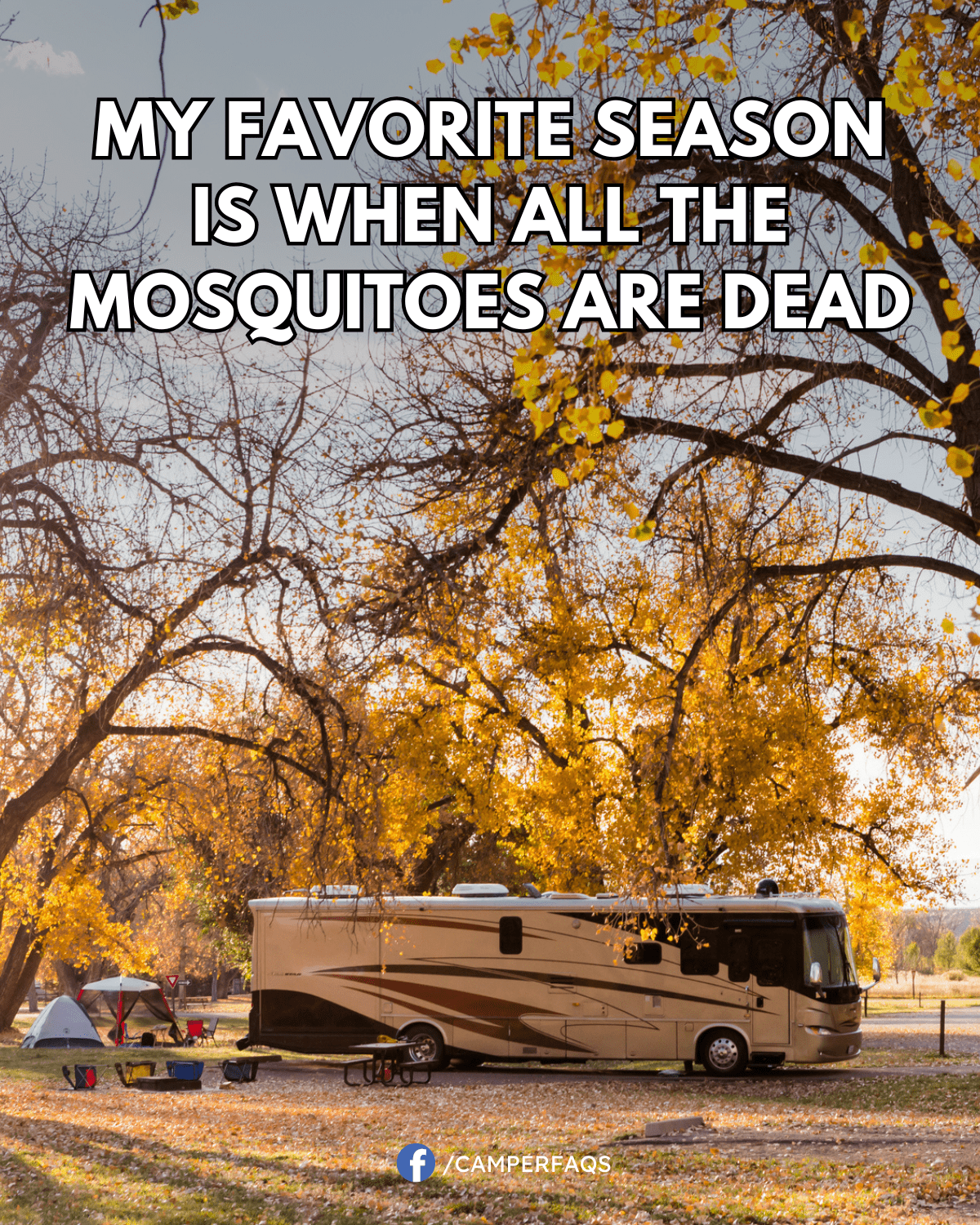 Community My favorite season is when all the mosquitoes are dead.