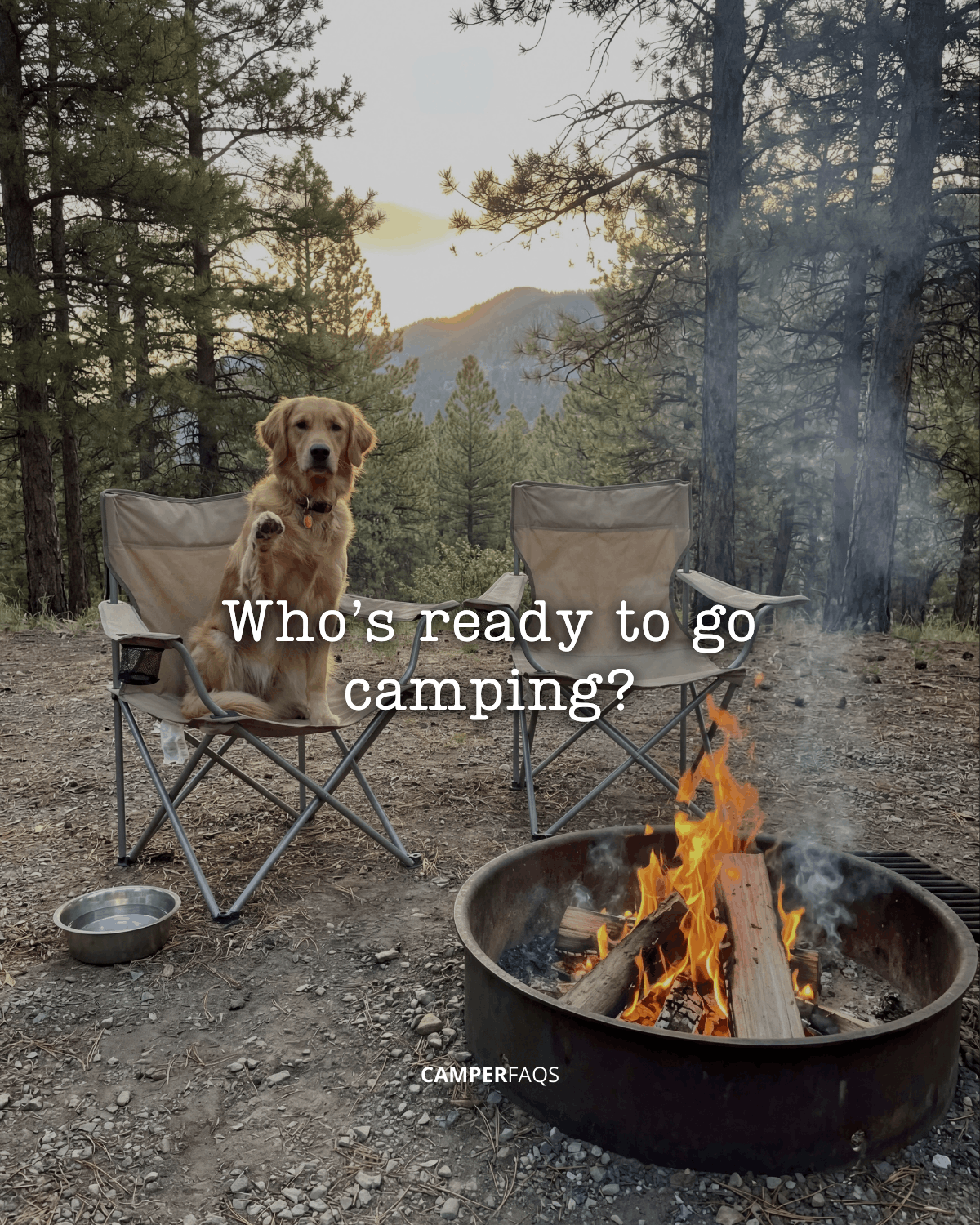 Who’s ready to go camping